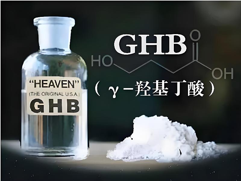 催听迷货到付7336-gHN3型号